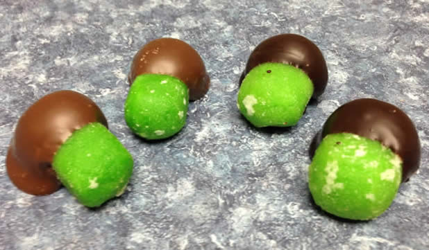 Marzipan Acorns Candy Kraft Candies Guilderland, NY