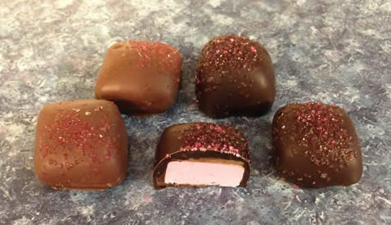 Fruit Nougatine Nougat Candy Kraft Candies Guilderland, NY